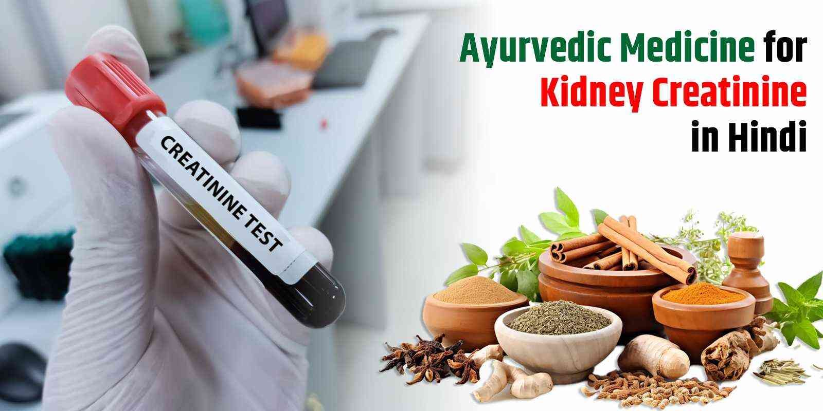 Ayurvedic Medicine for Kidney Creatinine in Hindi